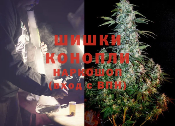 шишки Алзамай
