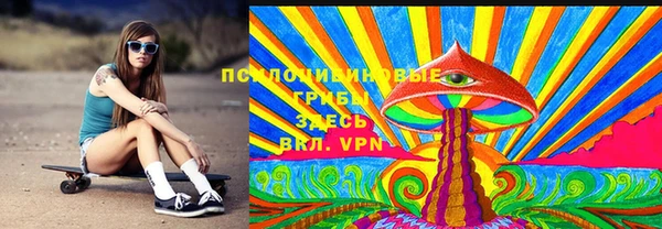 шишки Алзамай
