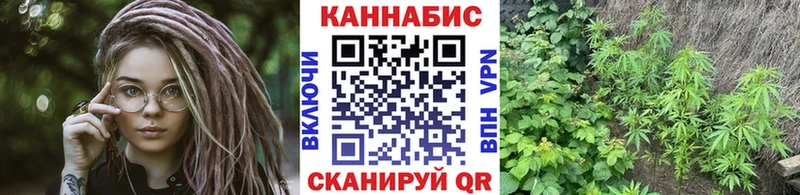 Бошки Шишки тримм  закладка  Устюжна 